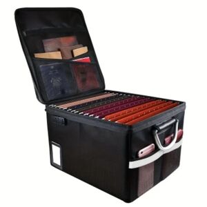 Portable file organizer